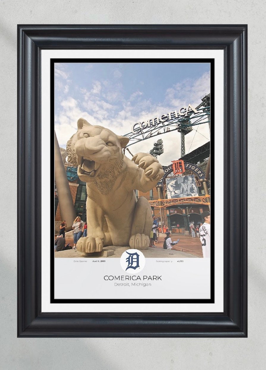 Detroit Tigers Comerica Park Framed Print PT60915