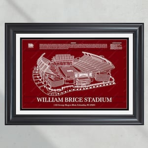 South Carolina Gamecocks Williams-Brice Stadium Blueprint: College Football Wall Art