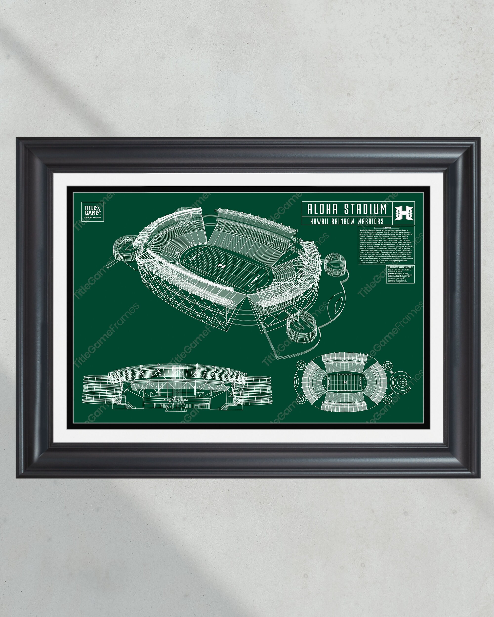 Hawaii Warriors Aloha Stadium Football Blueprint PT61019