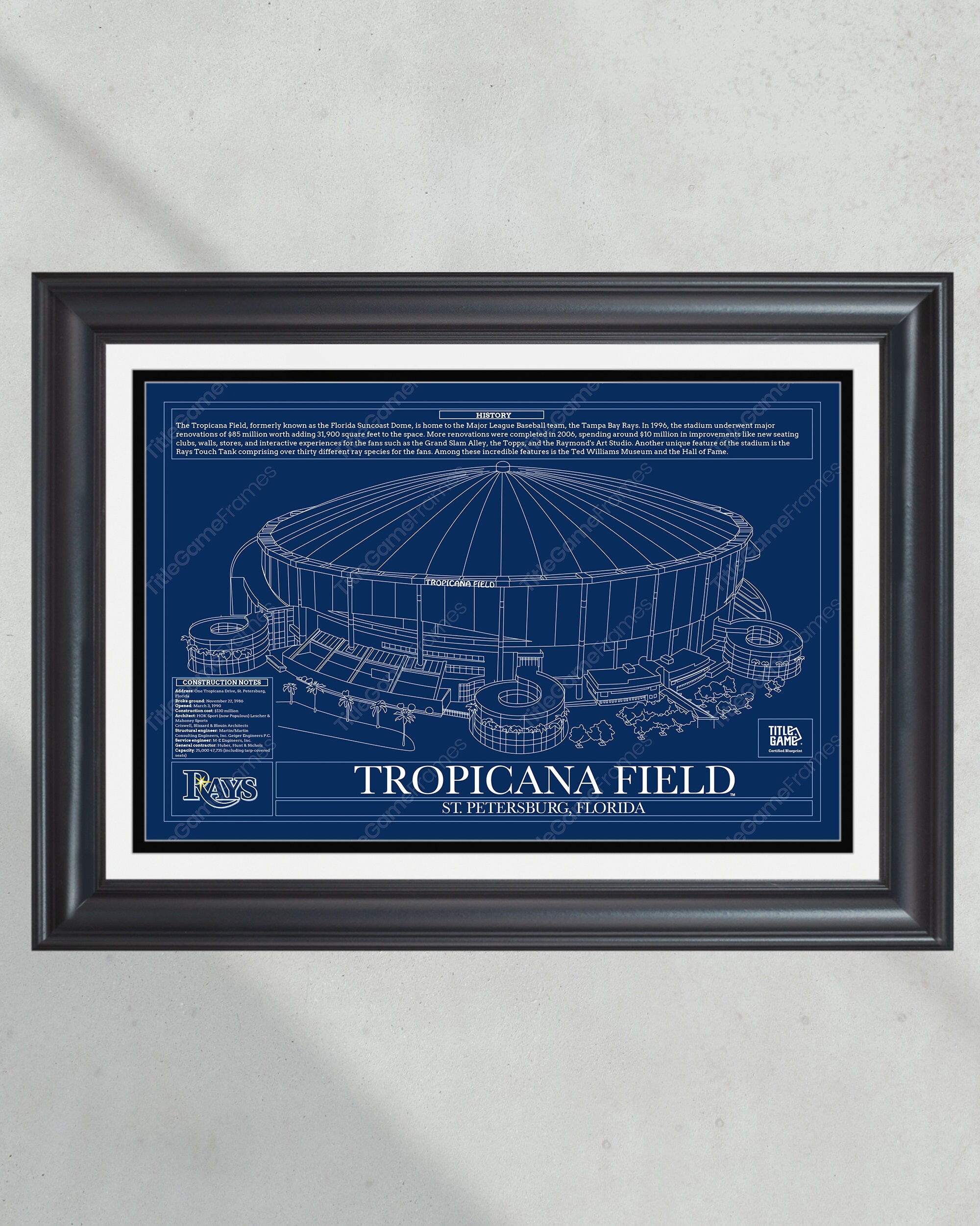 Tampa Bay Rays Tropicana Field Stadium Ballpark Blueprint Baseball Wall Art PT60960