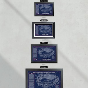 Framing Options Selection for Truist Park Blueprint Art.