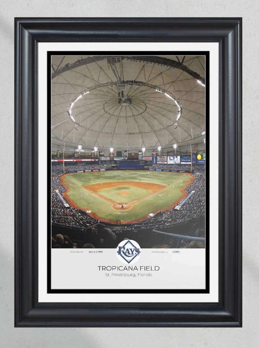 Tampa Bay Rays Tropicana Field Framed Print PT60930