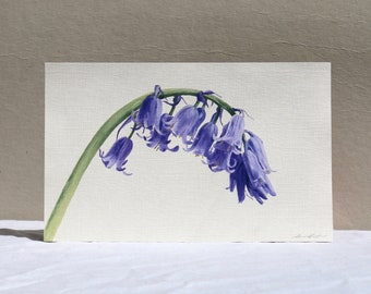 Peinture à l'huile de jacinthes des bois, peinture originale de fleurs botaniques, art mural contemporain fleurs sauvages printanières, cadeau déco floral bleu violet