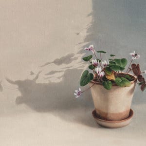 May include: A still life painting of a potted cyclamen plant. The plant has green leaves and small white and purple flowers. The pot is beige with a brown rim and sits on a matching saucer. The background is a neutral color with a shadow.