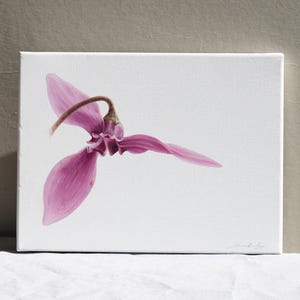 Oil Painting Spider Plant Live - Etsy