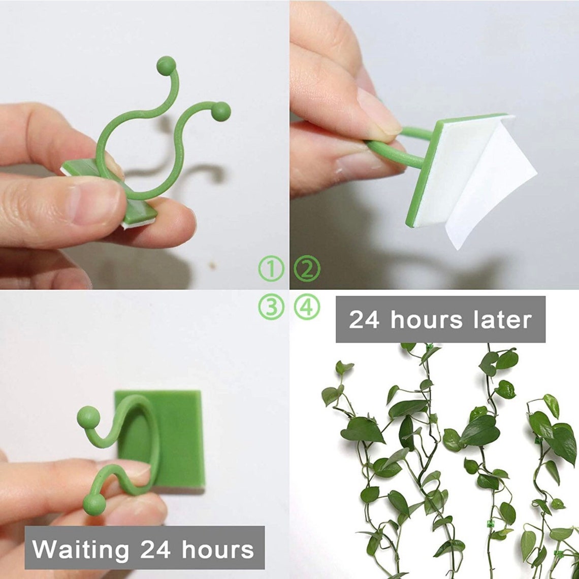 Vine Plant Climbing Wall plants support 50pcs Etsy