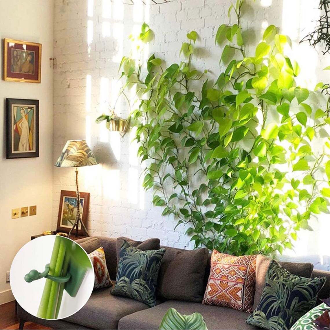 Vine Plant Climbing Wall plants support 50pcs Etsy
