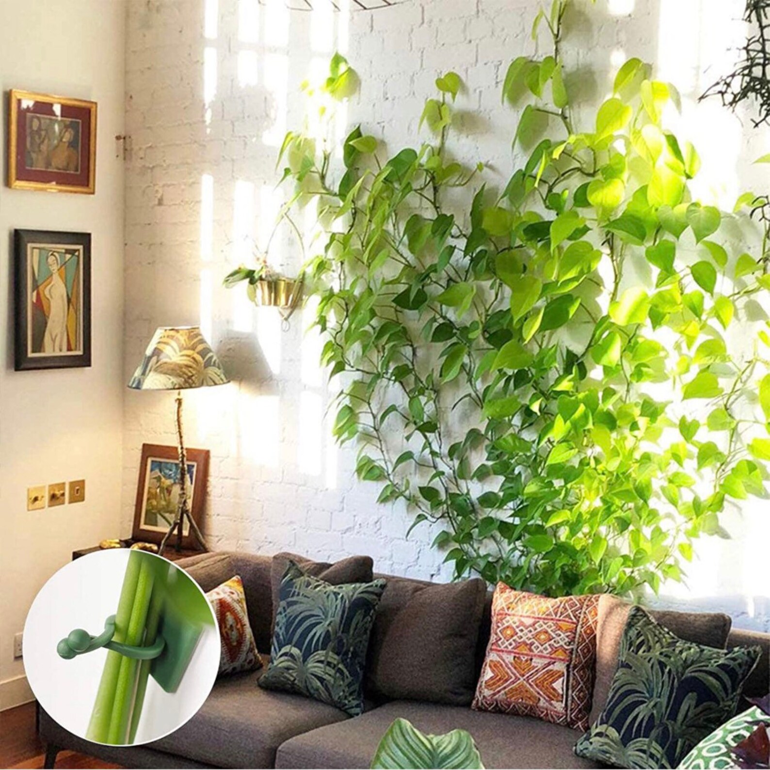 Vine Plant Climbing Wall plants support 50pcs Etsy