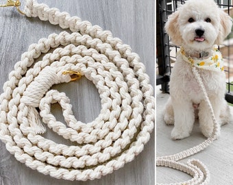 diy macrame dog collar