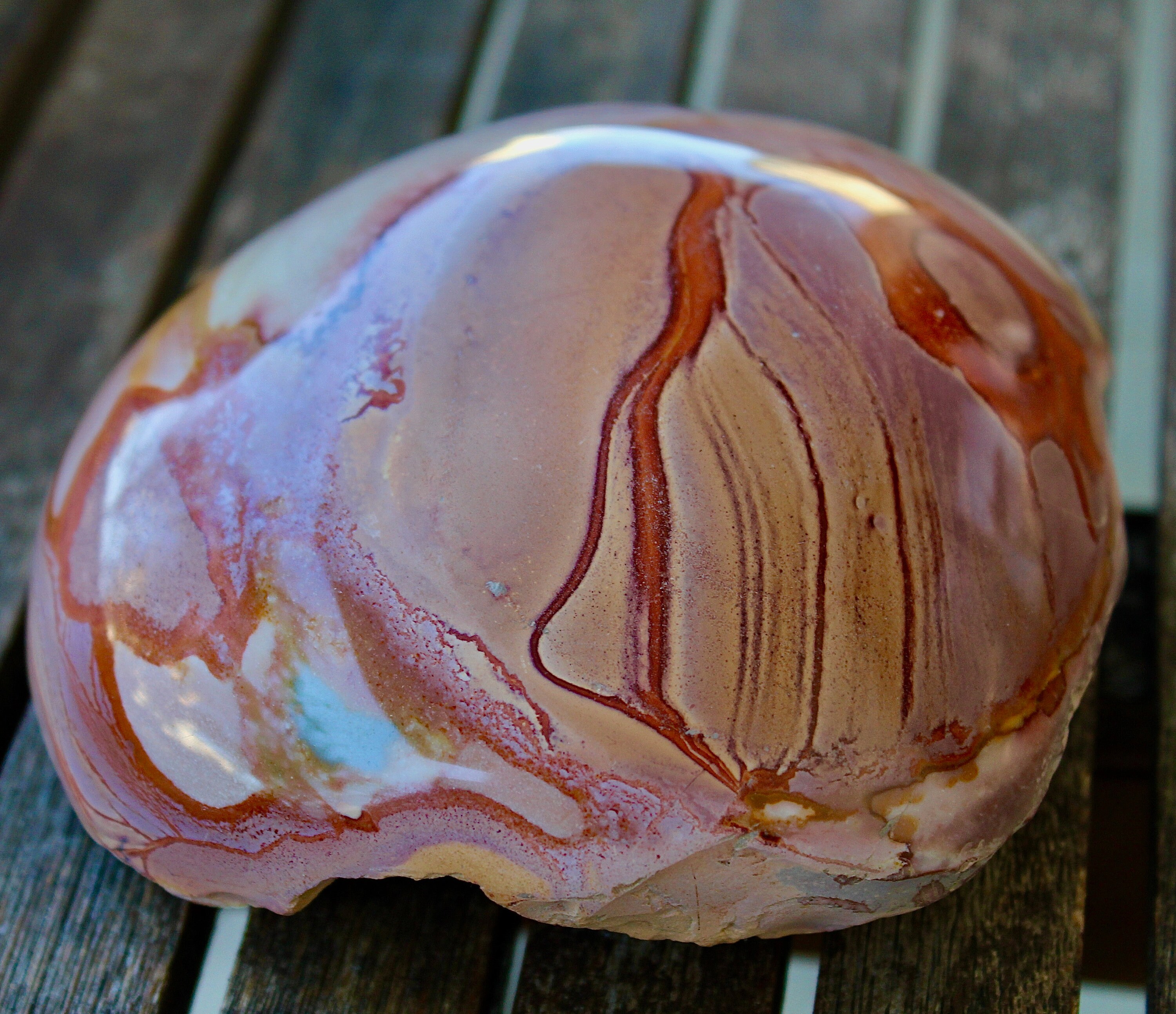 Galet Polie sur Une Face de Jaspe Polychrome