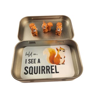 May include: An open metal tin containing three small orange squirrel figurines. The tin also holds a card with a squirrel illustration and the text "hold on, I SEE A SQUIRREL". The squirrels have fluffy tails and are in various poses.