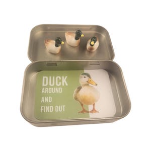 May include: An open, rectangular tin with three miniature duck figurines and a printed card. The card features a duck illustration and the text "DUCK AROUND AND FIND OUT". The ducks are white, brown, and black.