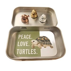 TURTLES - Three Hinge Head Decorative Toppers, Magnetic Door Hinge Decor, Unique Turtle, Turtle Hinge Topper, Gift Box, Turtle Decor