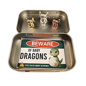 May include: A silver tin with a green and red sign that reads "Beware of Baby Dragons! You Have Been Warned!"  The sign features a cartoon baby dragon. Three small silver, gold, and bronze dragon figurines are inside the tin.