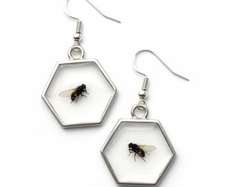 Real Fly Earrings, Dangle Resin Earrings, Oddities and Curiosity