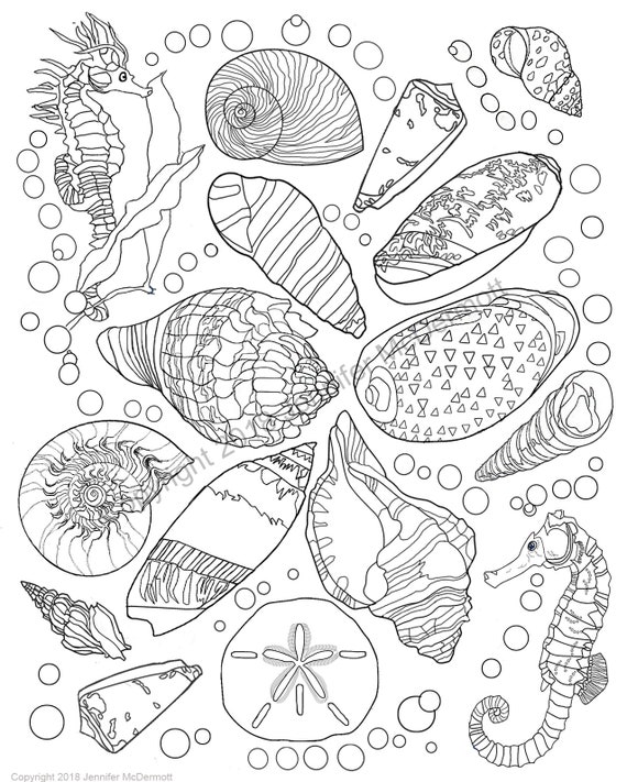 Coloring page: Two seahorses flank 14 seashells floating