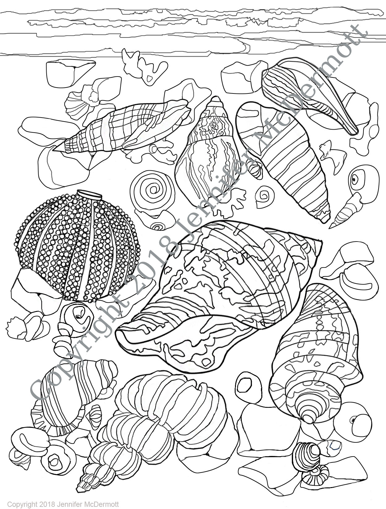 Seashell coloring page Shells and sea glass wash up on the | Etsy