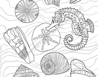 Coloring page: a seahorse among seashells, a sea urchin and waves