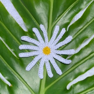 May include: A handmade crochet daisy with white petals and a yellow center, set against a large green leaf. The daisy is centered, showcasing the detailed stitching and color contrast. The background is a vibrant green leaf.