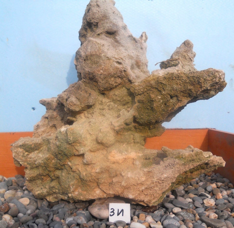 Extra large bonsai rock Suiseki natural eroded limestone Etsy