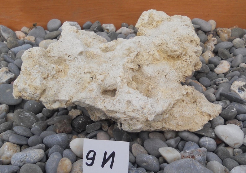 Suiseki aquarium decoration terrarium rock eroded limestone Etsy