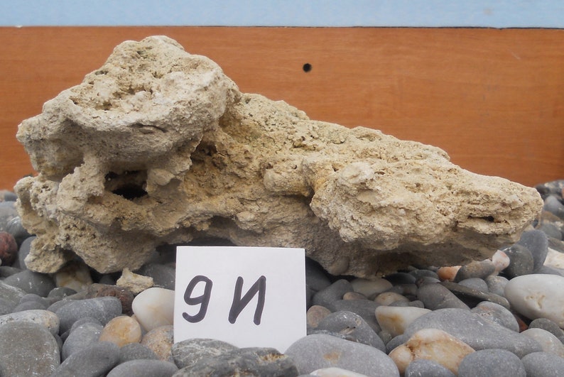 Suiseki aquarium decoration terrarium rock eroded limestone Etsy