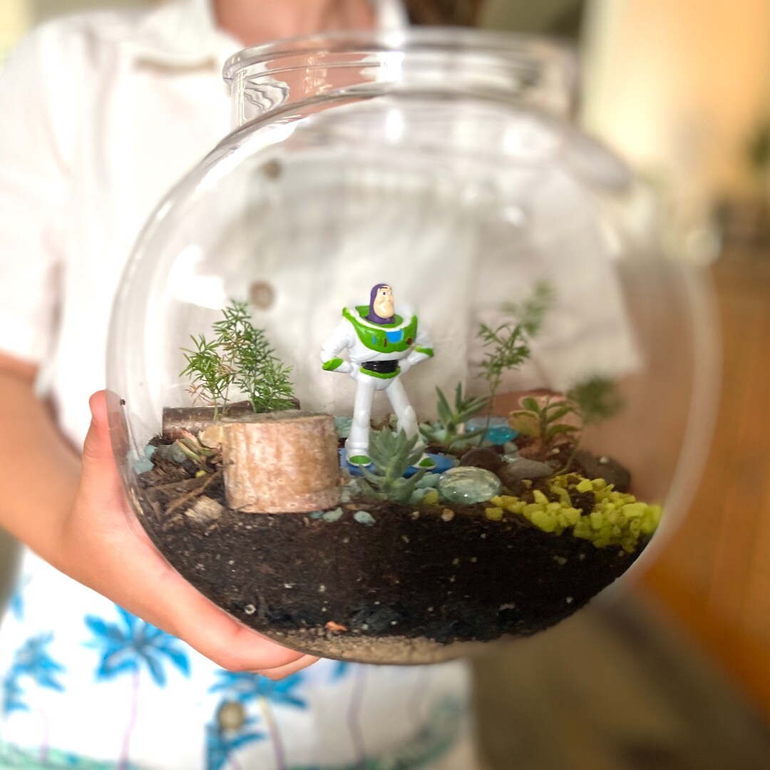 DIY Terrarium Kit Crafts for Kids DIY Craft Kit Family Etsy