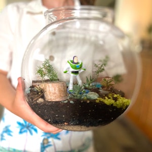 Details about   DIY STEM Botany Project Mini Ecosystem Terrarium Kit for Kids Ages 6-16 