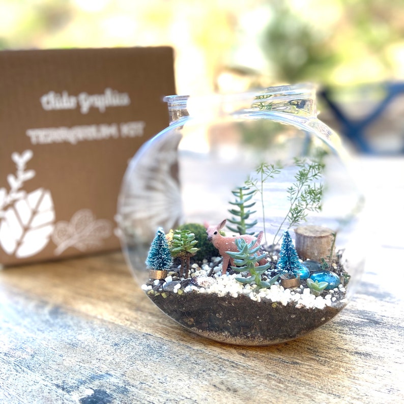 DIY Terrarium Kit Crafts for Kids DIY Craft Kit Summer Etsy