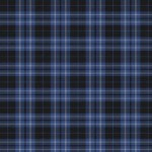 May include: A black and white plaid fabric with a blue and white stripe pattern.