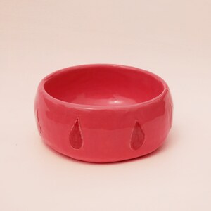 Ceramic Planter • Blood Rain on Pink