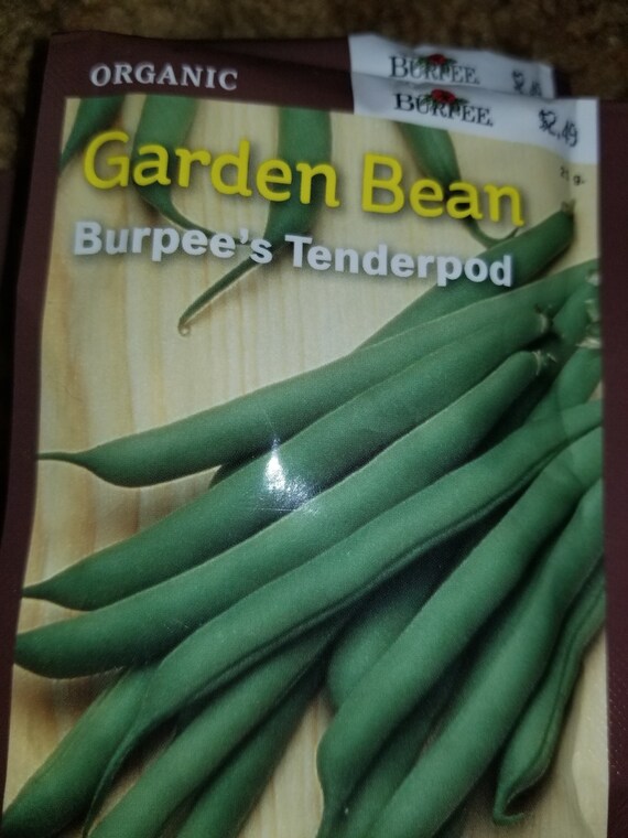 Garden Bean Seeds Burpee's Tenderpod Etsy
