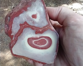 Beautiful polished rhyolite wonderstone display rock