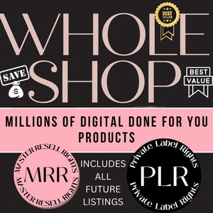 HELE SHOPBUNDEL met levenslange toegang en doorverkooprechten plr Master doorverkooprechten Digitale producten Planners en sjablonen google spreadsheets