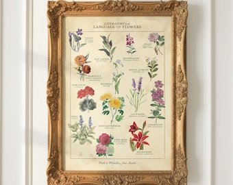 Literature in the Language of Flowers Botanical Art Print (Pride and Prejudice)