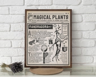 Periódico Wizard – Impresión de arte botánico de Mandragora – Arte brujo de estilo vintage