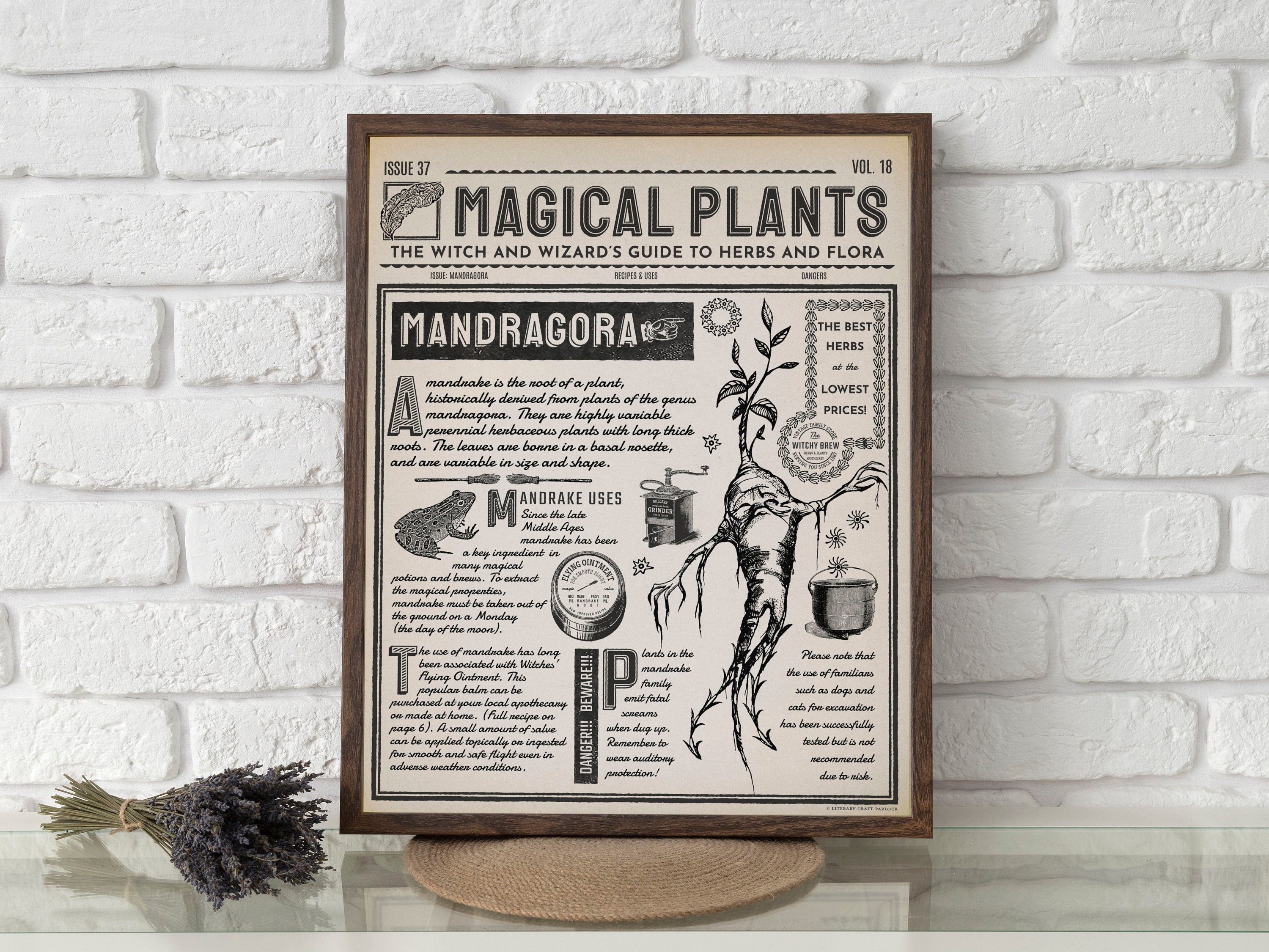 Poster The Mandrake - Herbology
