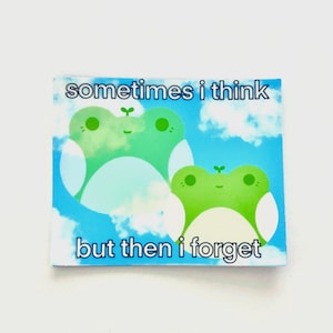 Sometimes I Think but Then I Forget | Meme Vinyl Sticker | Forgetful Frog