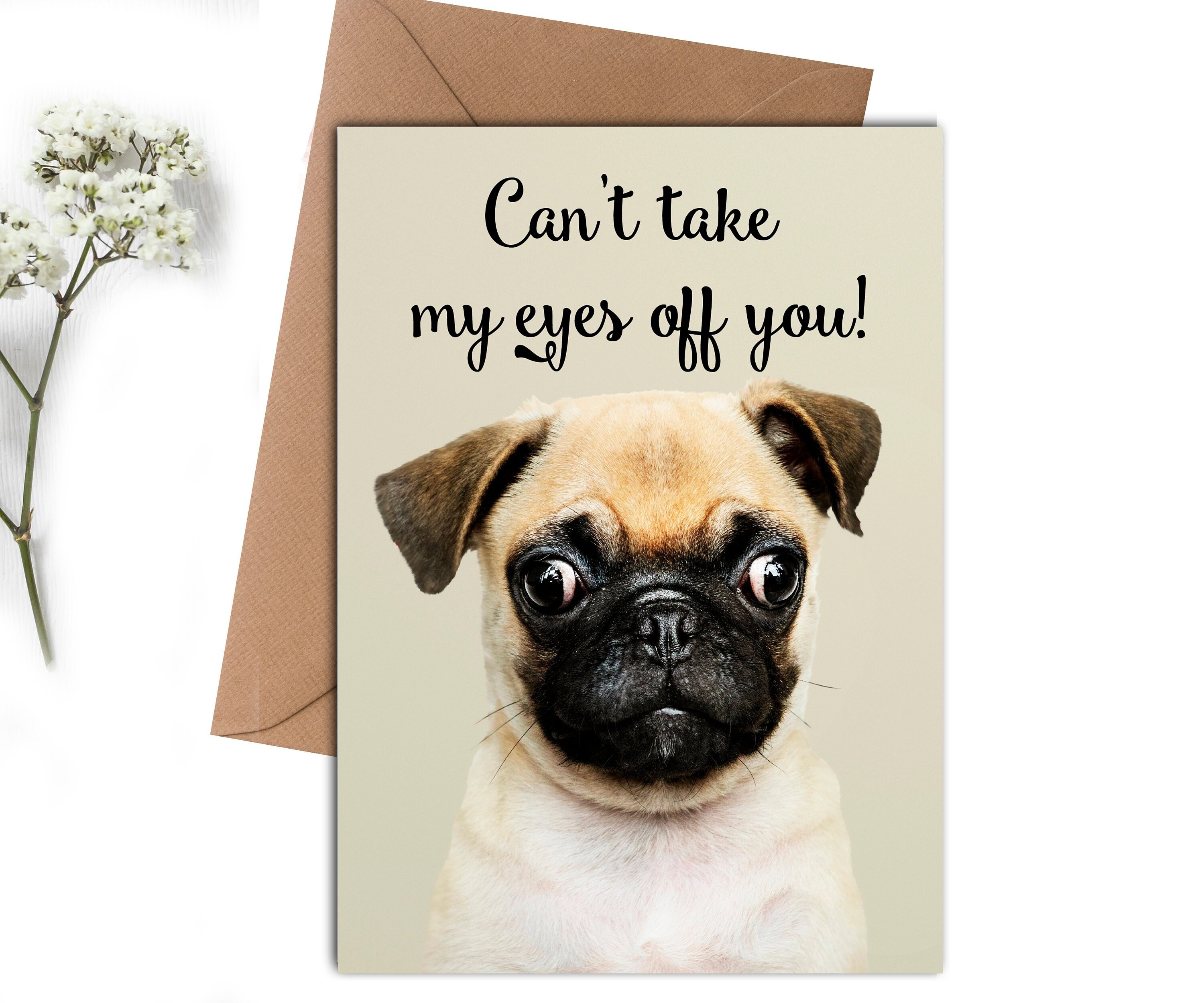 Can T Take My Eyes Off You Dog Valentine Naughty Etsy