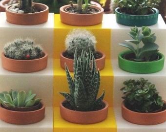 White Planter + Clay Pots/Indoor Planter/Plant Holder/Cactus/Succulent/Small Plant Pot/Flower pot/Indoor Plant/Small Plant/Small Succulent