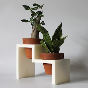 May include: White plant stand with two tiers, featuring a succulent in a terracotta pot on the top tier and a snake plant in a terracotta pot on the bottom tier.