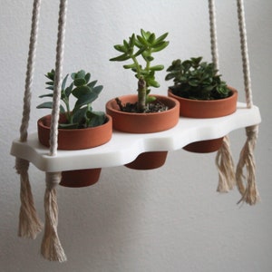 Pode incluir: Um vaso branco suspenso com três vasos de terracota, cada um contendo um tipo diferente de planta suculenta. O vaso tem uma borda ondulada e é suspenso por duas cordas brancas.