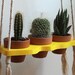 see more listings in the Hanging Planter section