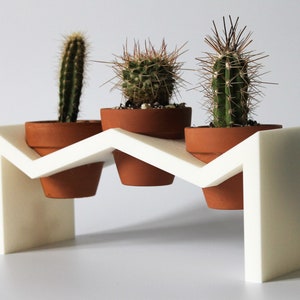 ZZ Planter / Indoor Planter / Cactae / Succulent / Plants / Gardening / Plant gift / Plant Stand / Terracotta  pot / Plant Pot / Plant Stand