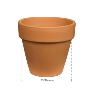 May include: A terracotta flower pot with a 2.5 inch diameter.