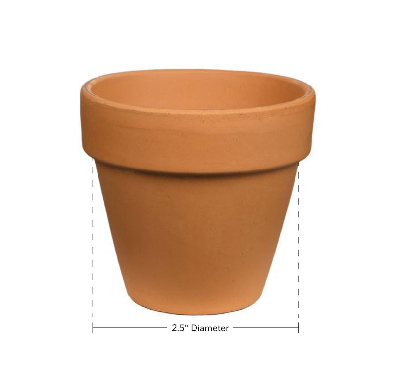 May include: A terracotta flower pot with a 2.5 inch diameter.