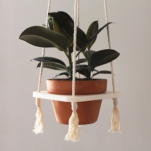 Pode incluir: Um suporte de planta de macramé branco com um vaso de terracota e uma planta verde de folhas. O suporte tem borlas nas pontas.