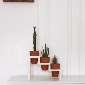 May include: White wooden plant stand with three tiers, featuring three potted succulents. The stand is on a white shelf with books underneath. A framed print with the text "Happy Mind Happy Life" is on the wall above the stand.