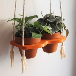 Plant Hanger / Macrame Planter / Hanging Planter / Terracotta Planter / Terracotta Pot / Medium Pot / Pothos / Peperomia / Cotton Rope / Pla