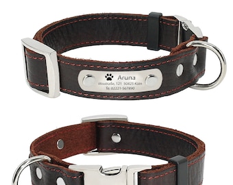 ID genuine leather collar with stainless steel plate + engraving as desired for dogs in brown in S, M, L